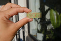 washi tapes